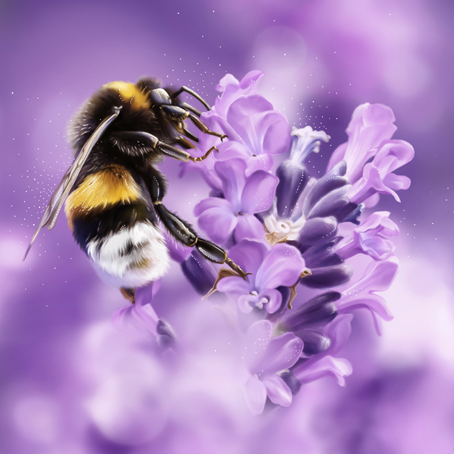 Bumblebee