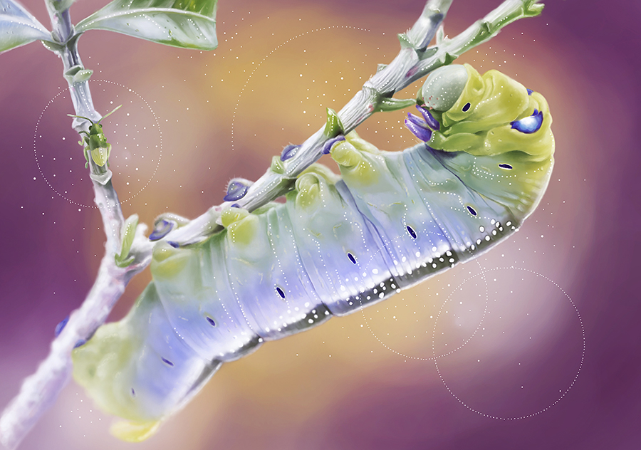 Caterpillar