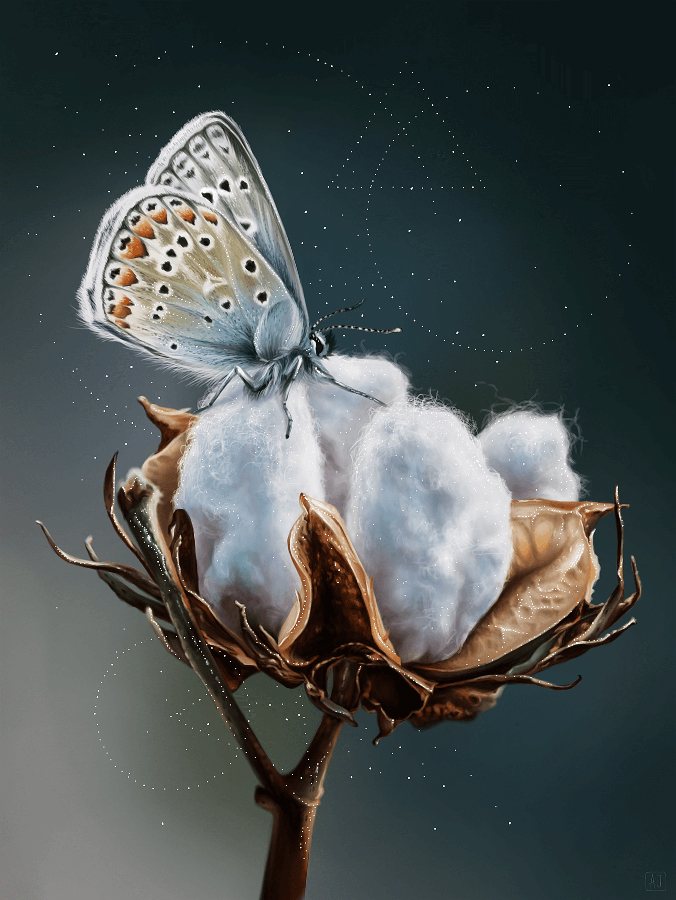 Cotton
