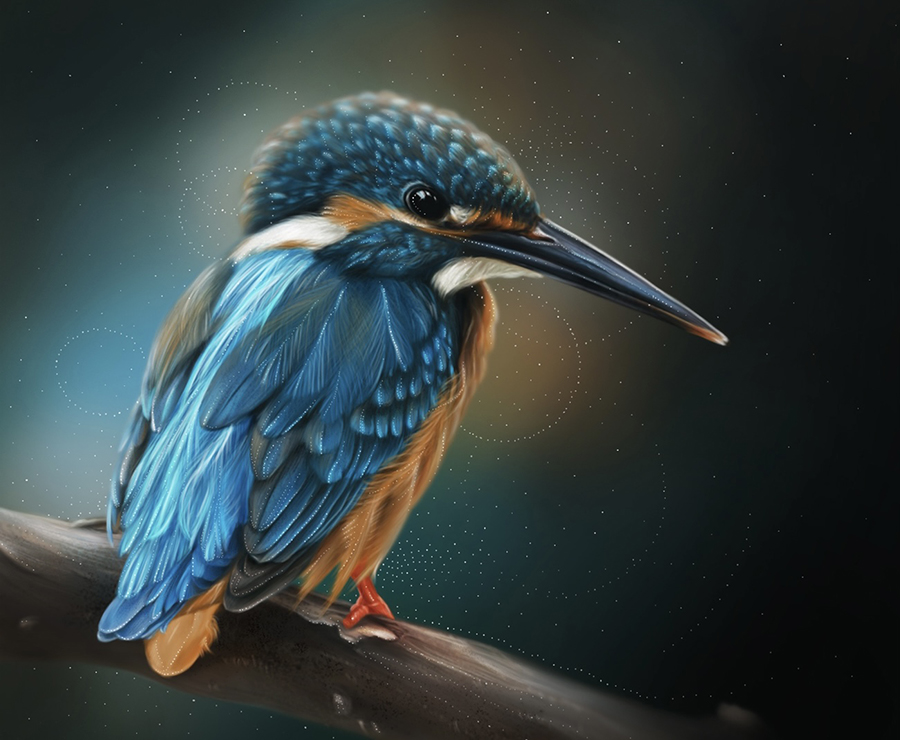 Kingfisher