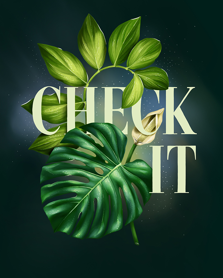 Monstera Deliciosa