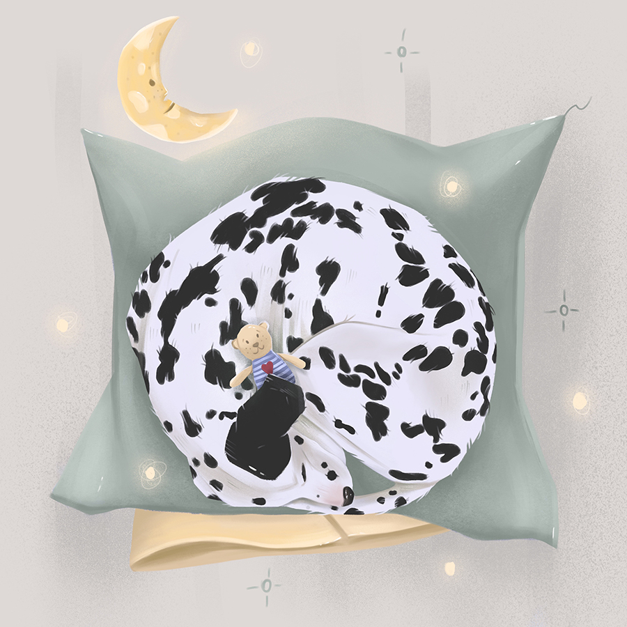 Sleepyhead